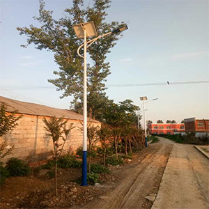 鄧州市彭橋鎮太陽能路燈工